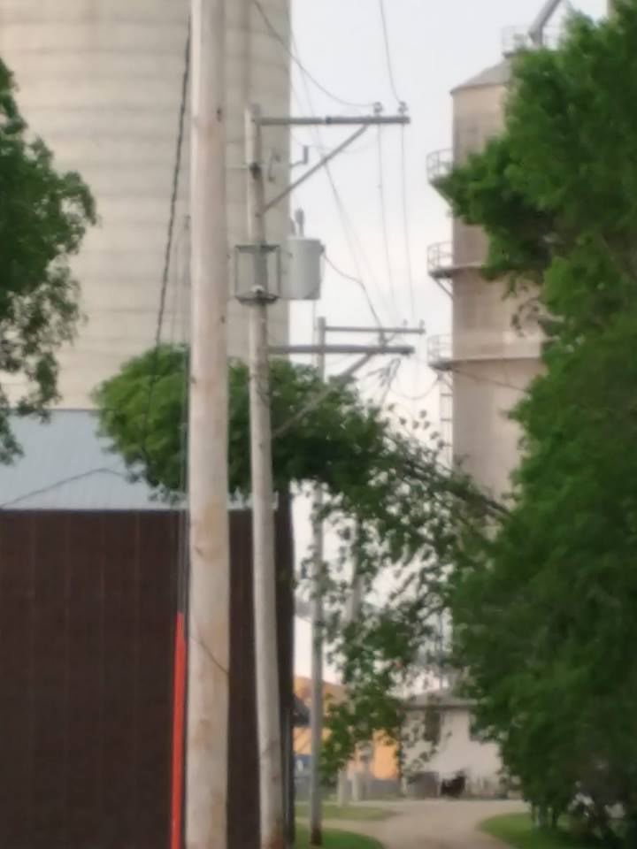 Tree down